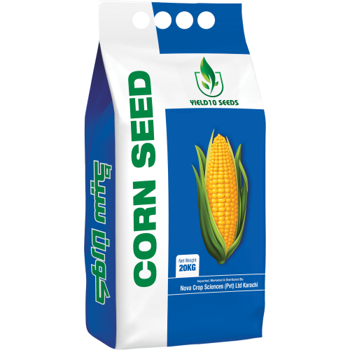 Corn Seed