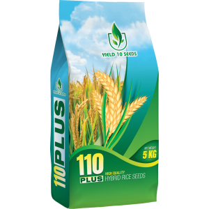 Hybird Rice Seeds 110 Plus