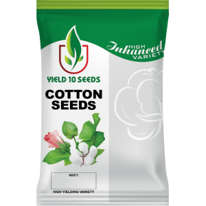 Cotton Seed