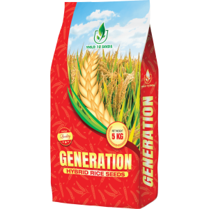 Generation Hybird Rice Seeds