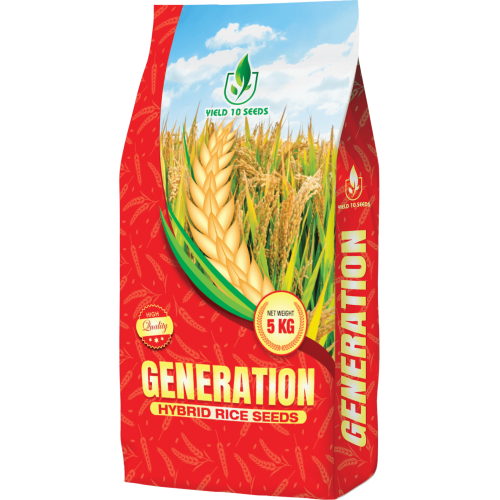 Generation Hybird Rice Seeds