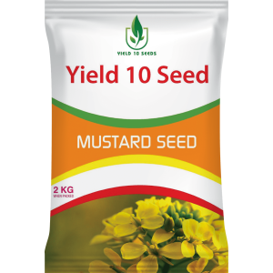 Mustard Seed