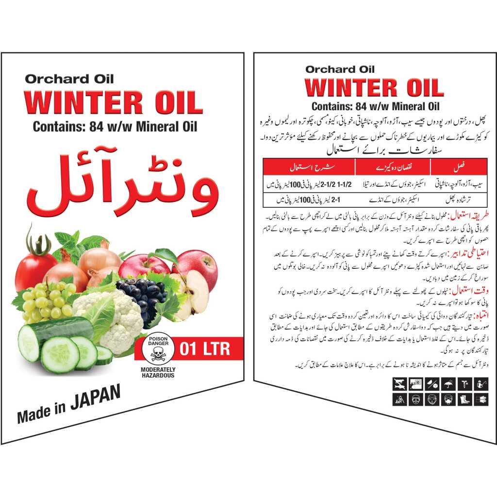 Winter Oil